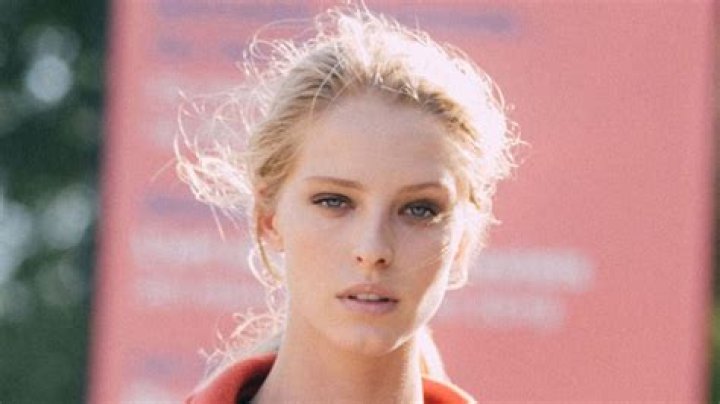 Abby Champion (model) Wiki,Age,Birthday,Biography,Height,Net Worth ..