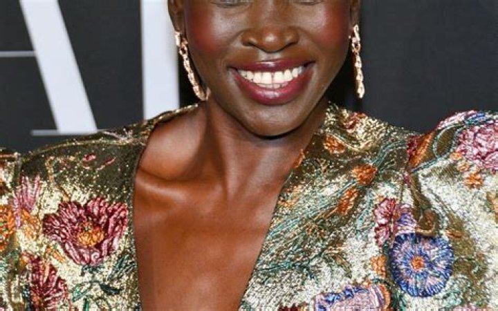 Alek Wek - Bio, Age, Wiki, Facts and Family