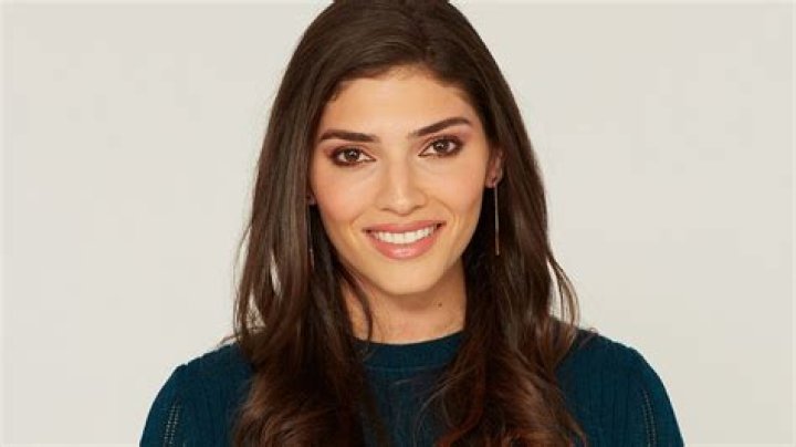 Amanda Setton (tvactress) Wiki,Age,Birthday,Biography,Height,Net Worth ..