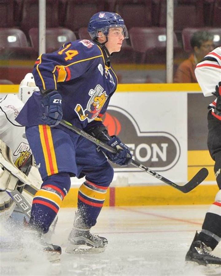 Andrei Svechnikov (hockeyplayer) Wiki,Age,Birthday,Biography,Height,Net Worth ..