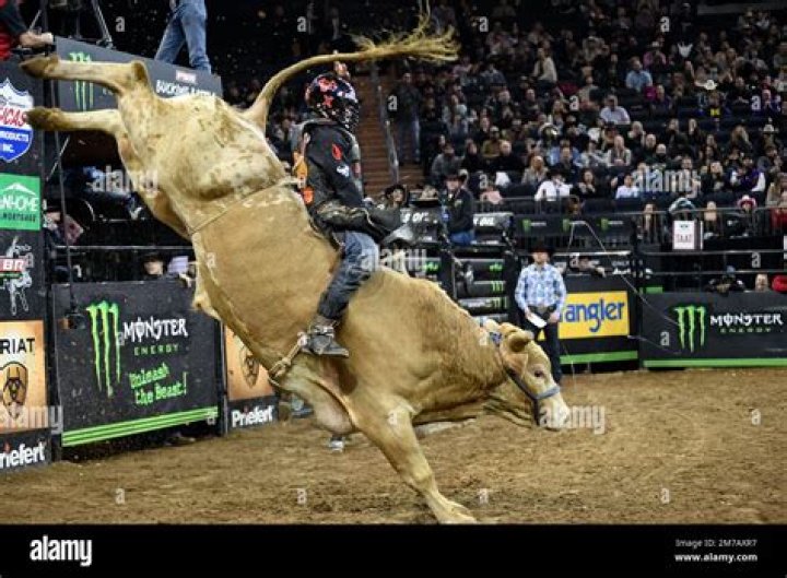 Andrew Alvidrez: Bullrider Detailed Bio, Age, Birthday, & Height Insights and more