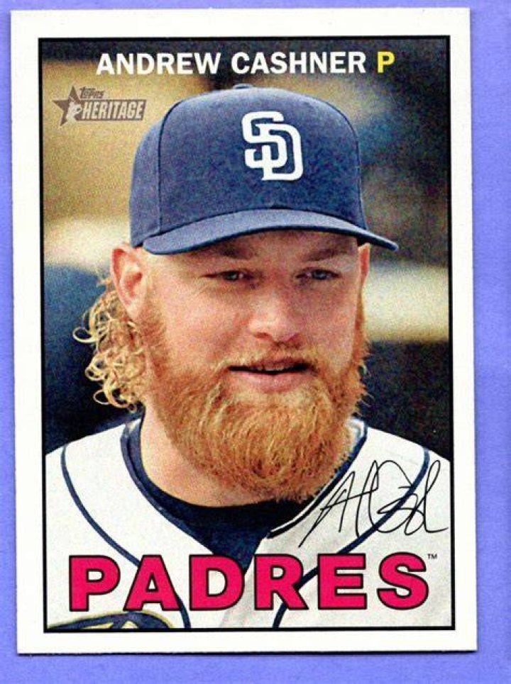 Andrew Cashner (baseballplayer) Wiki,Age,Birthday,Biography,Height,Net Worth ..