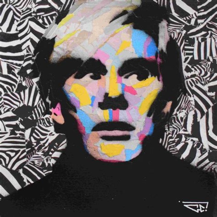 Andy Warhol (popartist) Wiki,Age,Birthday,Biography,Height,Net Worth ..