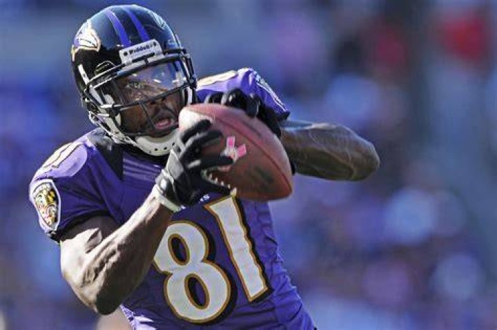 Anquan Boldin (footballplayer) Wiki,Age,Birthday,Biography,Height,Net Worth ..
