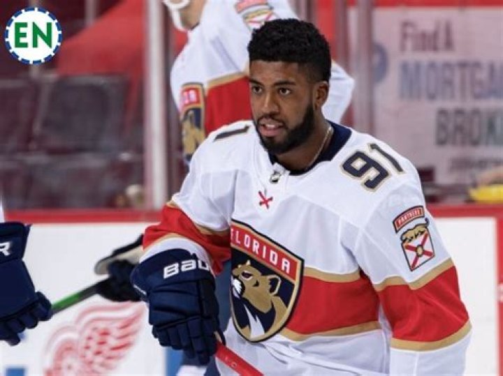 Anthony Duclair (hockeyplayer) Wiki,Age,Birthday,Biography,Height,Net Worth ..