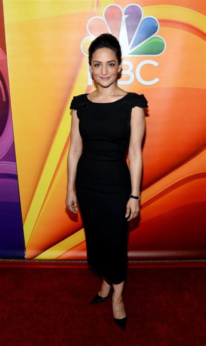 Archie Panjabi (tvactress) Wiki,Age,Birthday,Biography,Height,Net Worth ..