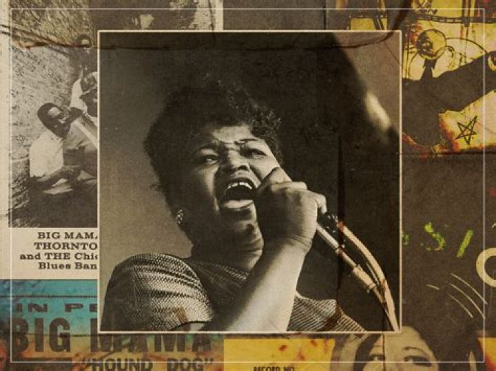 Big Mama Thornton - Bio, Age, Wiki, Facts and Family