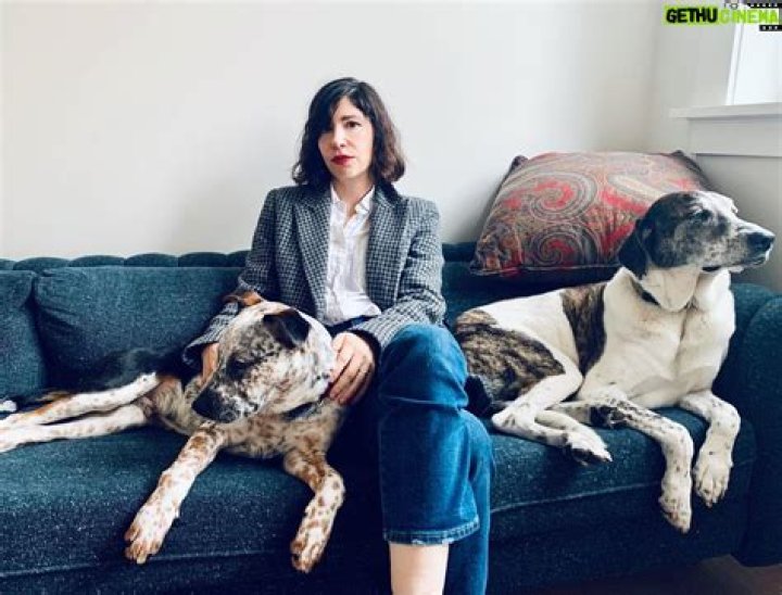 Carrie Brownstein - Bio, Age, Wiki, Facts and Family