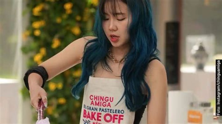 Chingu Amiga - Bio, Age, Wiki, Facts and Family