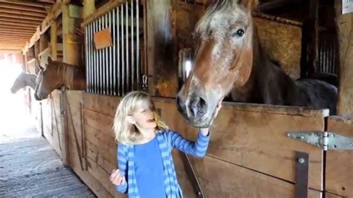 Dani The Horse Girl - Bio, Age, Wiki, Facts and Family
