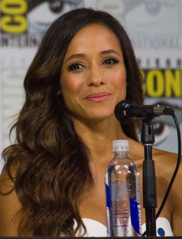 Dania Ramirez - Bio, Age, Wiki, Facts and Family