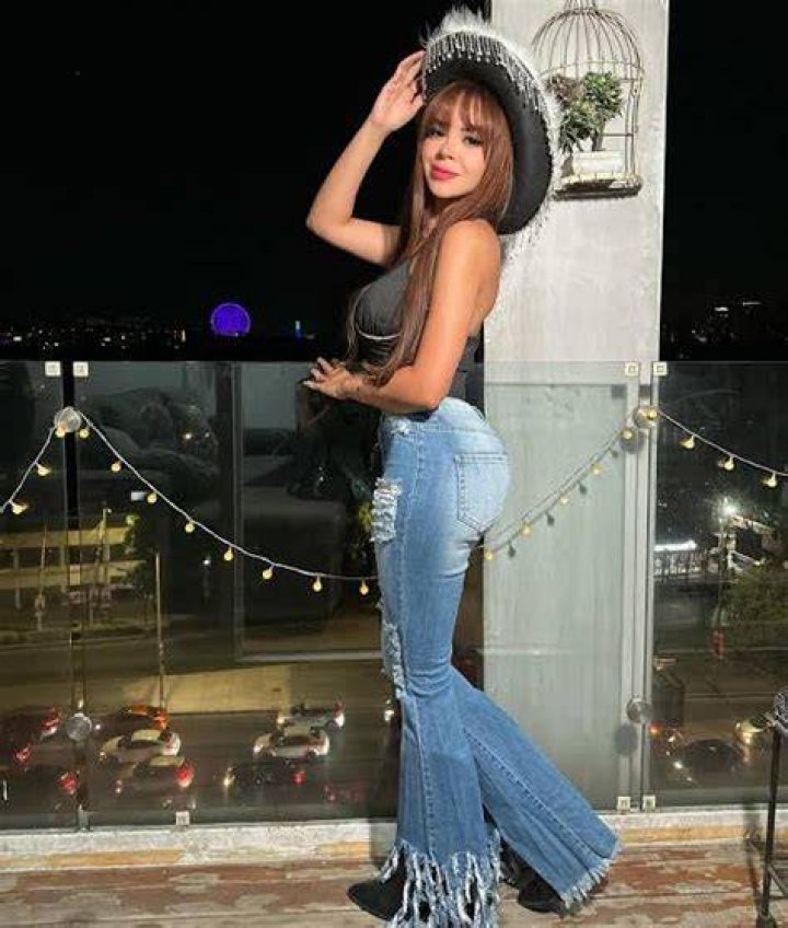 Danyan Cat - Bio, Age, Wiki, Facts and Family
