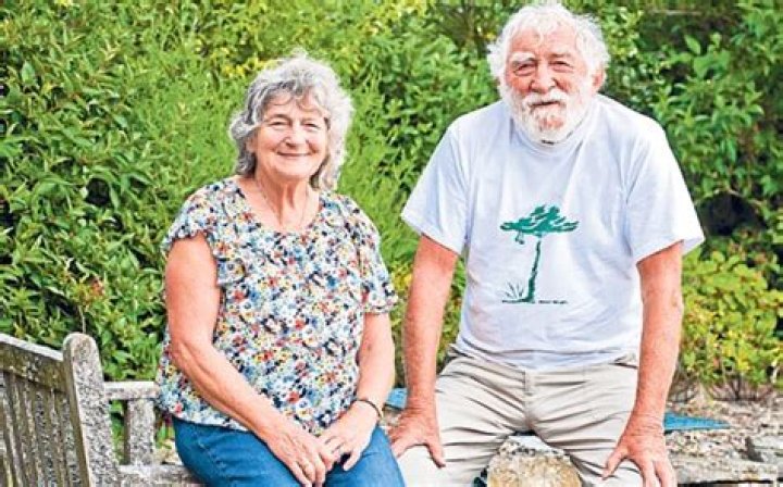 David Bellamy - Bio, Age, Wiki, Facts and Family