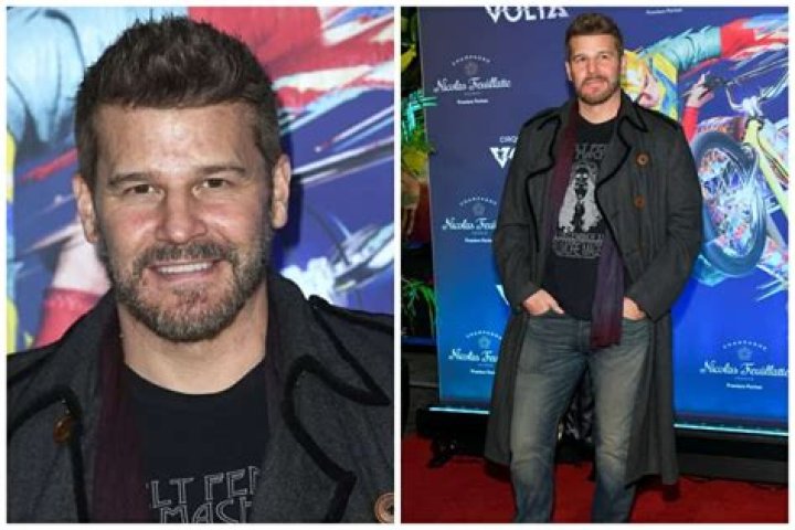 David Boreanaz - Bio, Age, net worth, height, weight, Wiki, Facts and Family