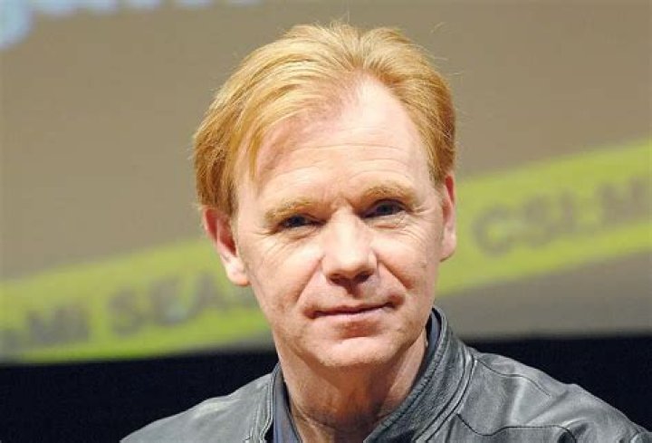 David Caruso - Bio, Age, net worth, siblings, height, weight, Wiki, Facts and Family