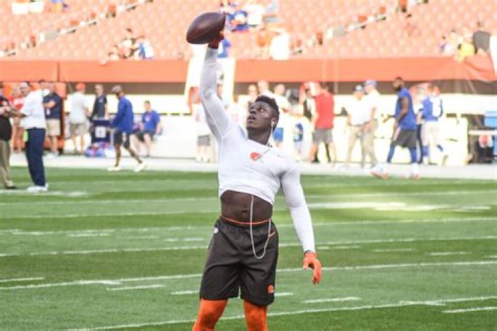 David Njoku - Bio, Age, weight, height, Wiki, Facts and Family