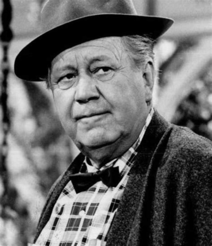 Edgar Buchanan - Bio, Age, Wiki, Facts and Family