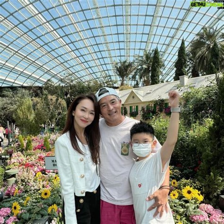 Fann Wong - Bio, Age, Wiki, Facts and Family