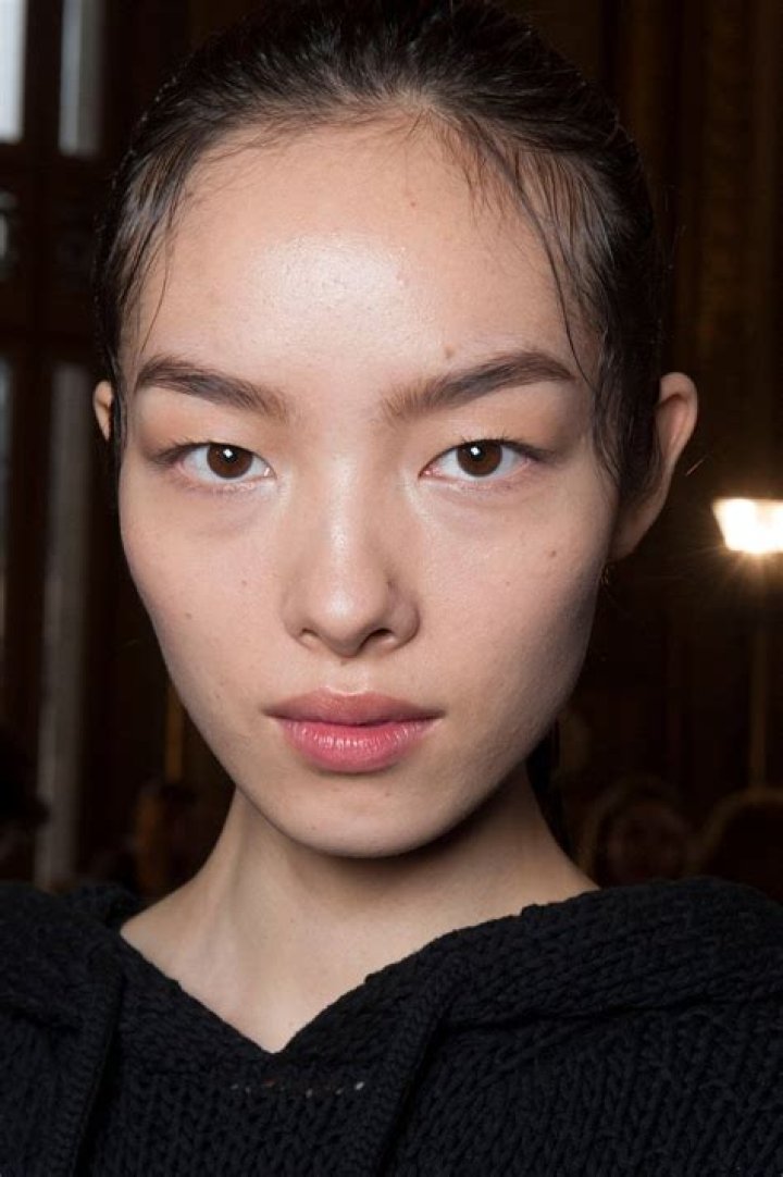 Fei Fei Sun - Bio, Age, Wiki, Facts and Family