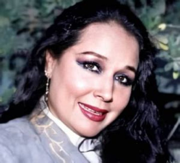 Flor Silvestre - Bio, Age, Wiki, Facts and Family