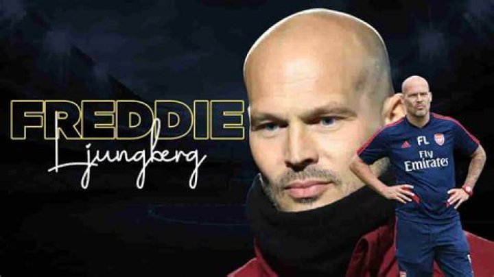 Freddie Ljungberg - Bio, Age, Wiki, Facts and Family