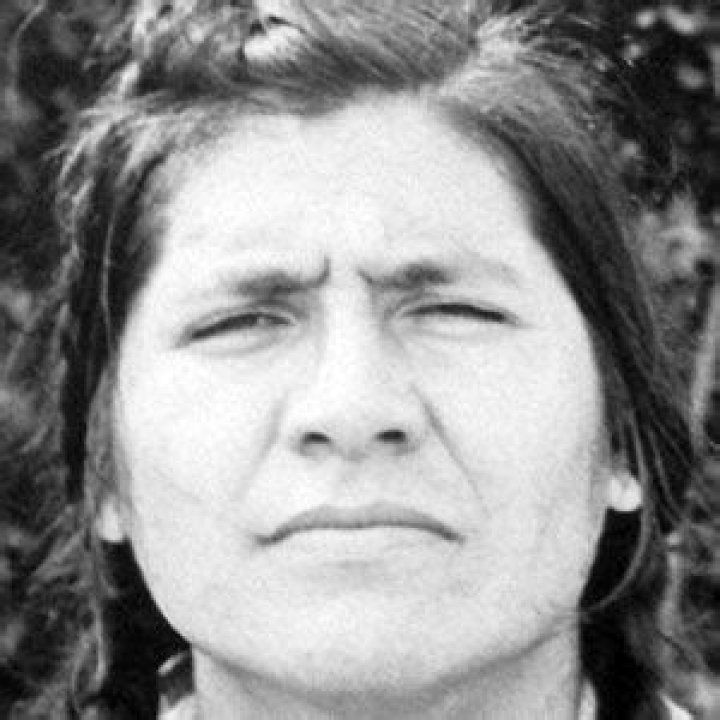 Gordon Tootoosis - Bio, Age, Wiki, Facts and Family