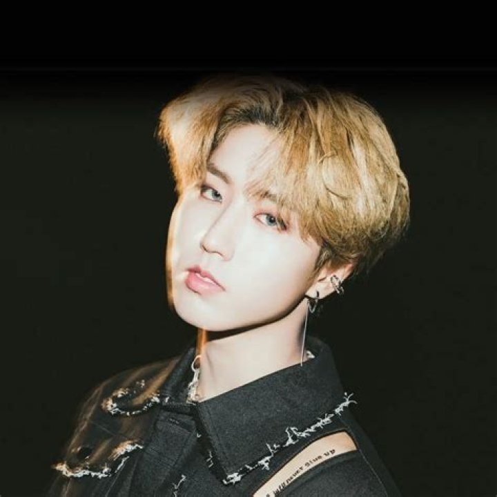 Han Jisung - Bio, Age, Wiki, Facts and Family