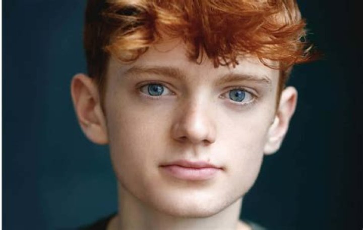 Henry Lawfull (actor) - Wikipedia, Age, Net Worth, Biography , Spotify, TikTok, Facebook, Facts and Family