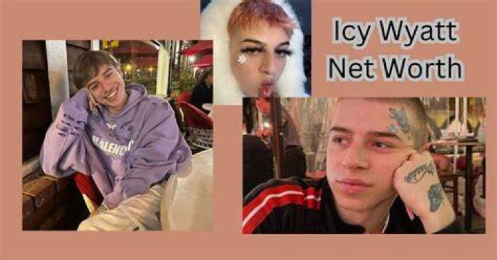 Icy Wyatt (webvideostar) - Wikipedia, Age, Net Worth, Biography , Spotify, TikTok, Facebook, Facts and Family