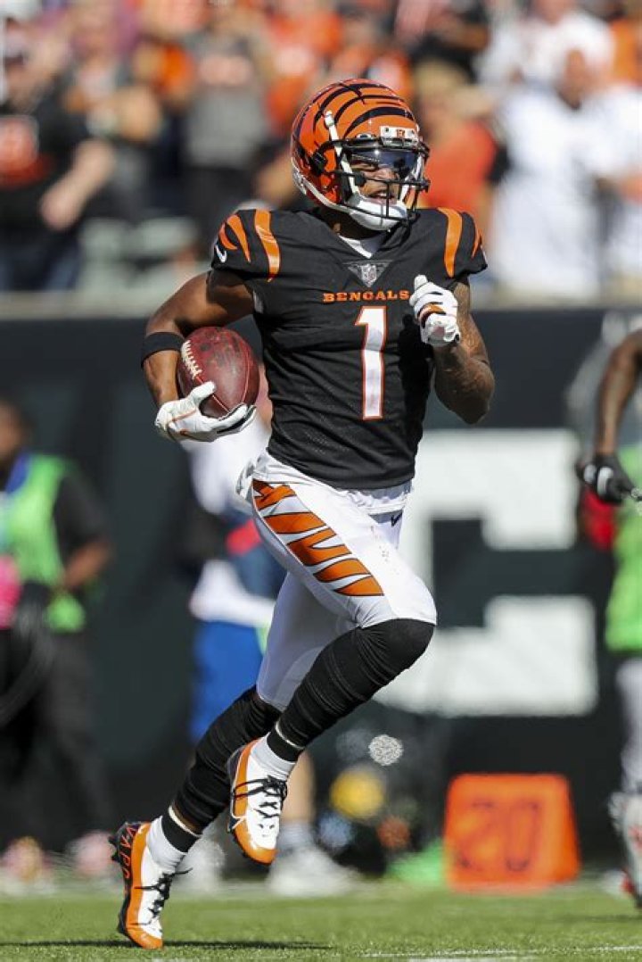 Ja'Marr Chase (footballplayer) - Wikipedia, Age, Net Worth, Biography , Spotify, TikTok, Facebook, Facts and Family