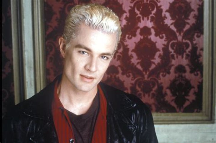 James Marsters - Bio, Age, net worth, height, Wiki, Facts and Family