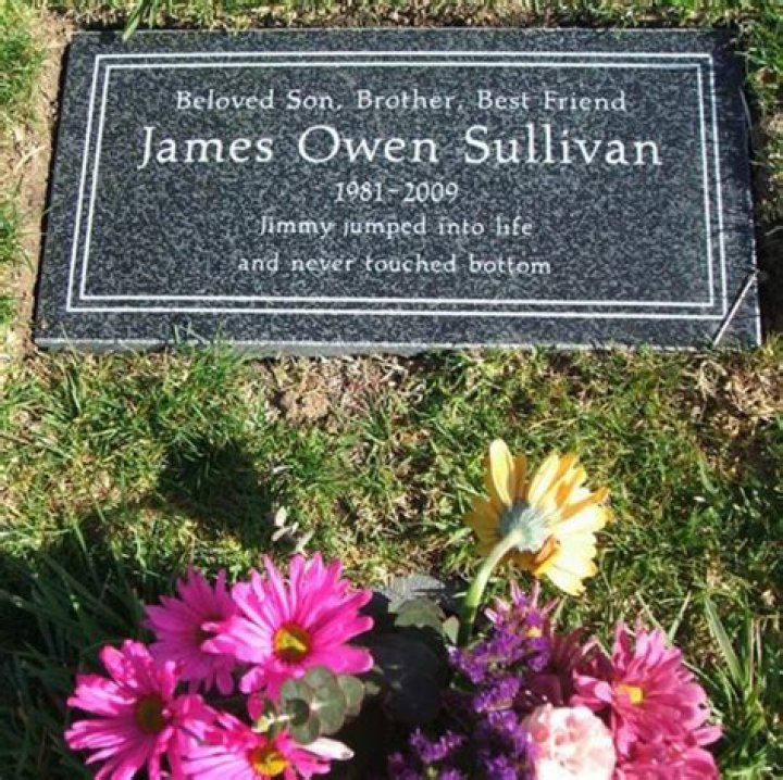 James Owen Sullivan - Bio, Age, height, Wiki, Facts and Family