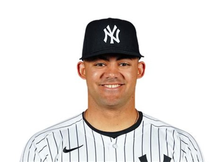 Jasson Domínguez: Baseball Player Detailed Bio, Age, Birthday, & Height Insights and more