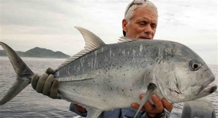 Jeremy Wade - Bio, Age, weight, height, Wiki, Facts and Family