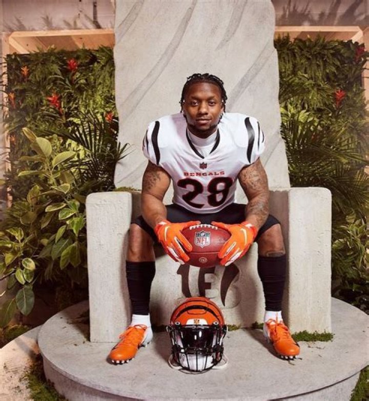 Joe Mixon - Bio, Age, weight, height, Wiki, Facts and Family