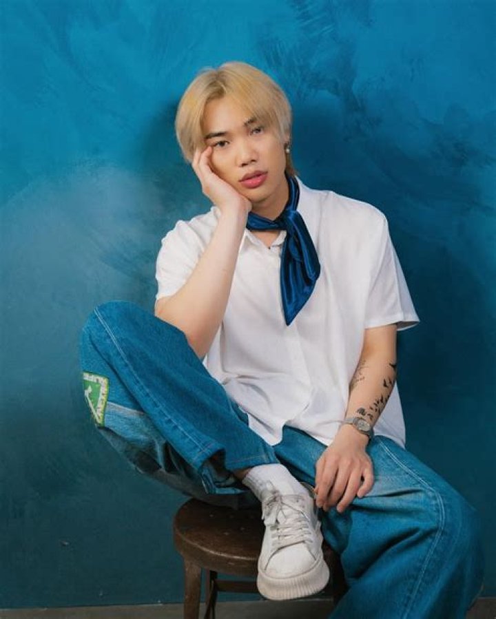 Justin Phan (webvideostar) - Wikipedia, Age, Net Worth, Biography , Spotify, TikTok, Facebook, Facts and Family