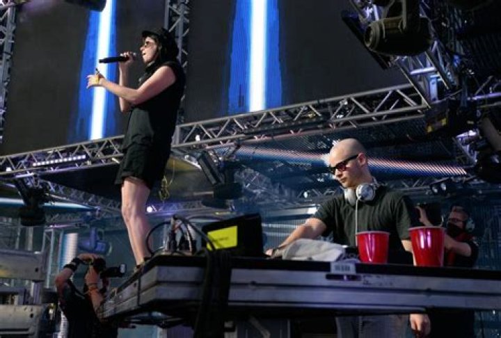 K.flay - Bio, Age, Wiki, Facts and Family