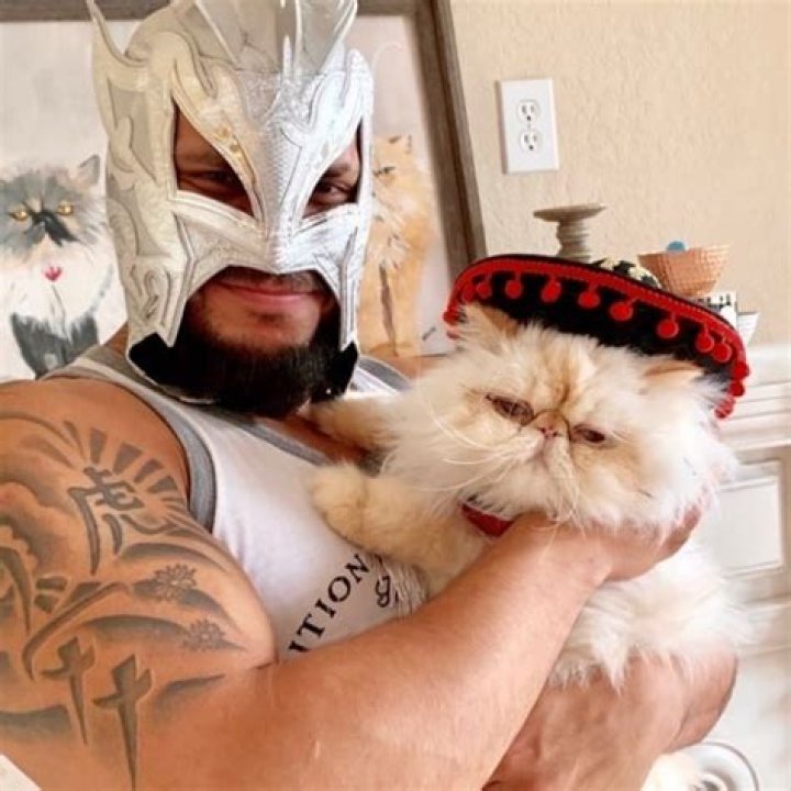 Kalisto - Bio, Age, weight, height, Wiki, Facts and Family