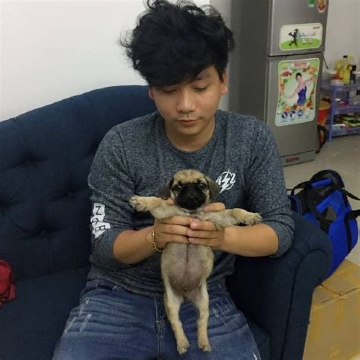 Khoa Pug: YouTube Star Detailed Bio, Age, Birthday, & Height Insights and more