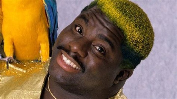 Koko B. Ware - Bio, Age, height, Wiki, Facts and Family