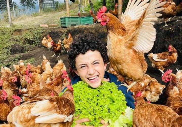 La Granja del Borrego (webvideostar)-Wiki, Age, Net Worth, Biography , Spotify, TikTok, Facebook, Facts and Family