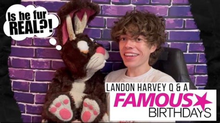 Landon Harvey : Age, Birthday, Wiki, Bio and Family, Net ...