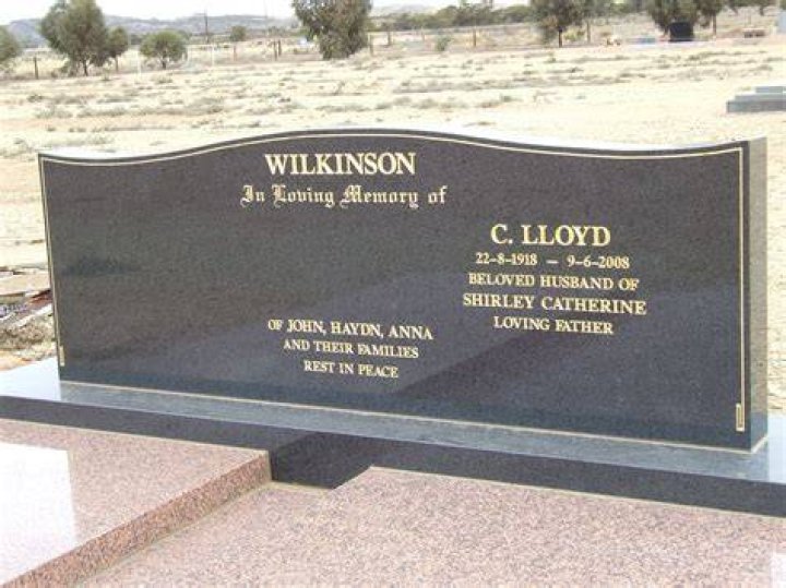 Lloyd Wilkinson - Bio, Age, Wiki, Facts and Family