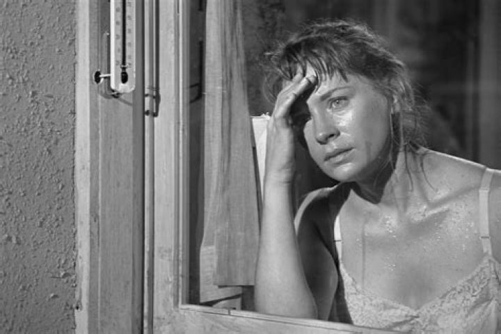 Lois Nettleton - Bio, Age, Wiki, Facts and Family