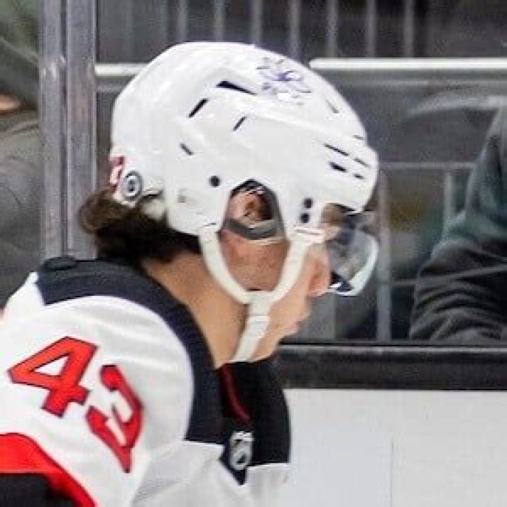 Luke Hughes - Biography, Age, Wiki, Facts and Family