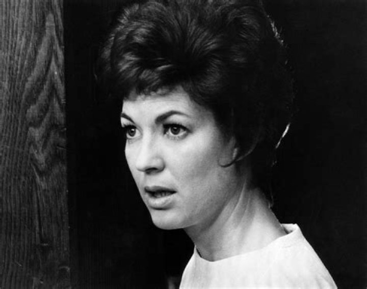 Lynn Carlin - Bio, Age, Wiki, Facts and Family