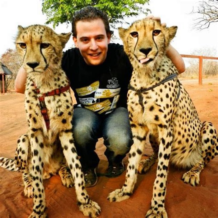 Marcello Arrambide - Bio, Age, Wiki, Facts and Family
