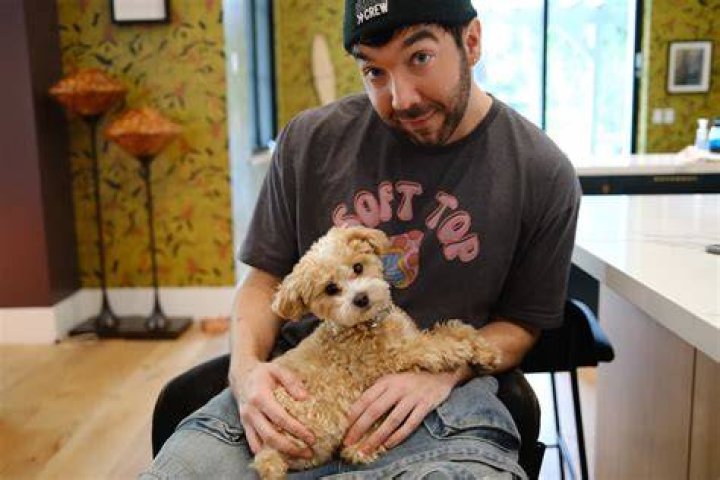Matthew Scott Montgomery - Bio, Age, Wiki, Facts and Family