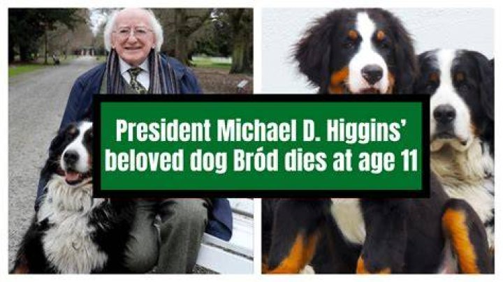 Michael D. Higgins - Bio, Age, height, Wiki, Facts and Family