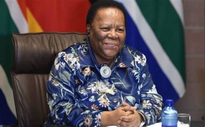 Naledi Pandor - Bio, Age, Wiki, Facts and Family